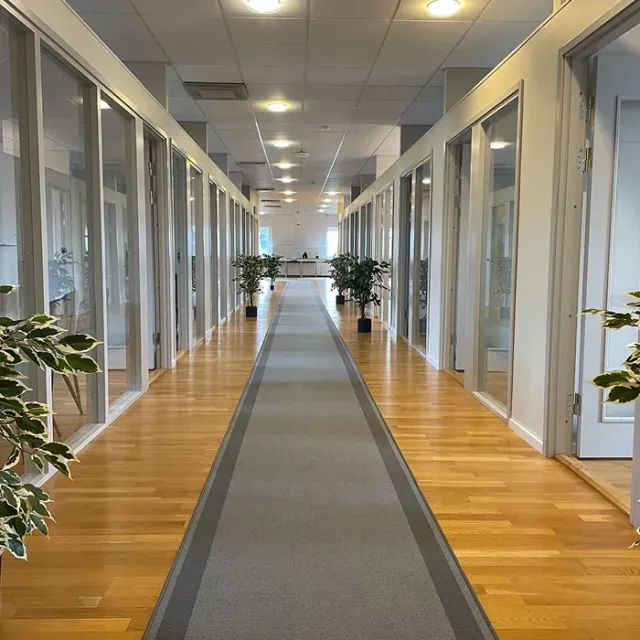 Professionellt måleriarbete av Din Hemmafixare