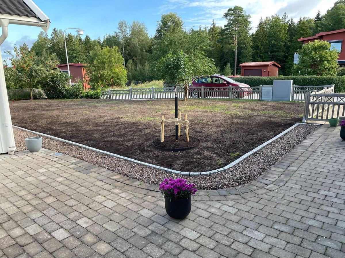Före trädgårdsomgestaltning – gammal stenläggning med ogräs